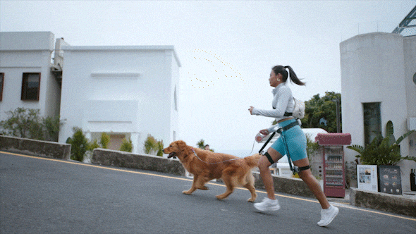 π6 X assisting a walk with a dog
